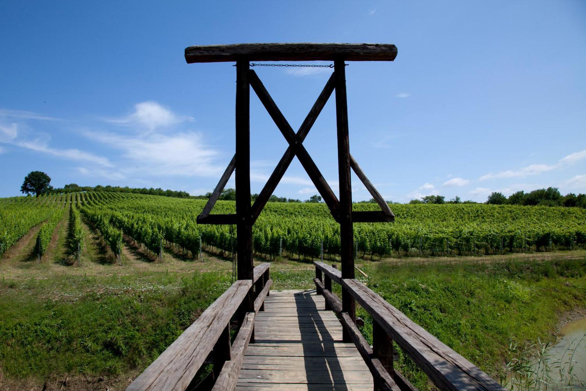 Stupnicki Dvori Winery Hotel Stupnik Brodski Extérieur photo