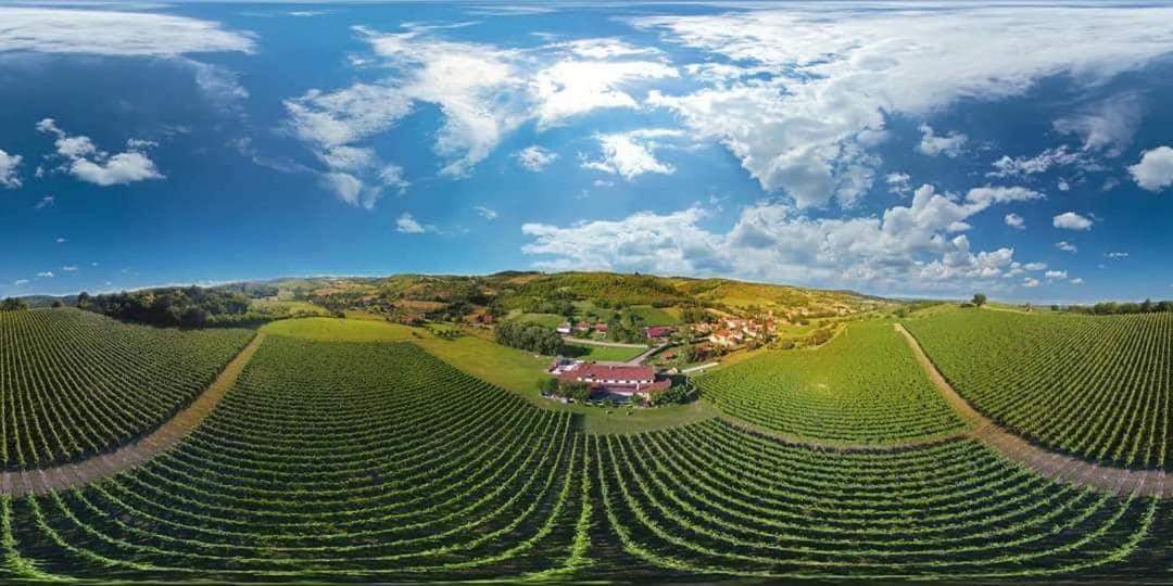 Stupnicki Dvori Winery Hotel Stupnik Brodski Extérieur photo